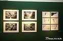 VBS_1193 - Castello di Miradolo - Mostra Oltre il giardino l'Abbecedario di paolo Pejrone